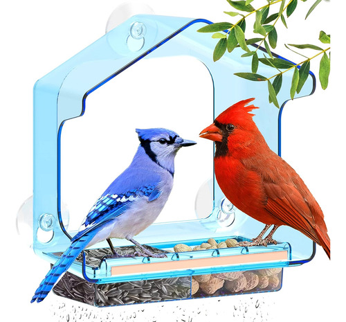 Comedero De Aves Lujii Azul Transparente Para Paredes 10kg