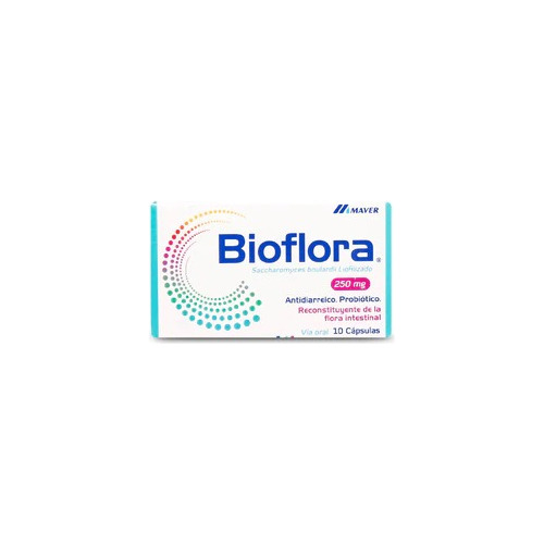 Bioflora Probioticos 250 Mg X 10cap Sabor No