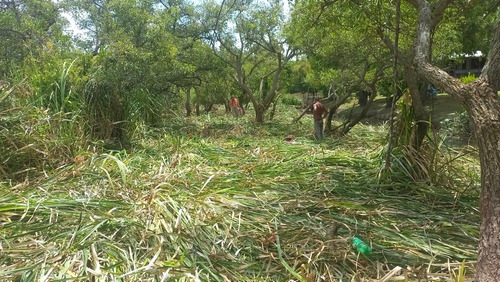 Imagen 13 de 13 de Terreno En El Delta Dos Hectáreas
