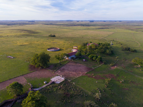 Campo En Venta En Salto Ref. 8771 (ref: Cbr-959)