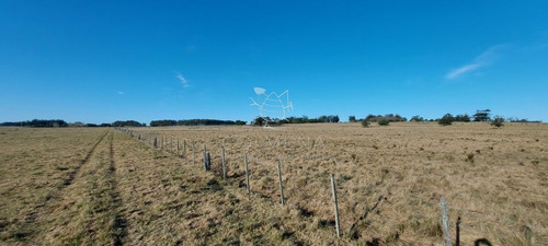 Imagen 3 de 28 de Venta Campo Ideal Para Fraccionar En Chacras Codigo 6003 - Las Garzas