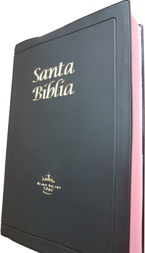 Biblia Reina Valera 1960 Letra Grande, Concordancia, Vinilo