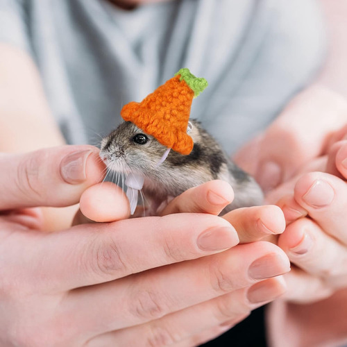 Gorro De Hámster De 4 Piezas Para Animales Pequeños Con Corr