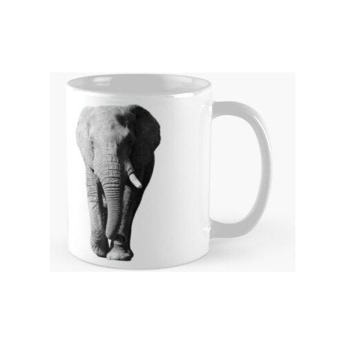 Taza Linda Camiseta Elefante Calidad Premium