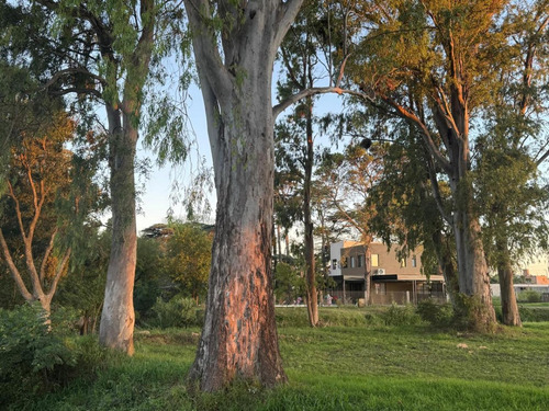 Casa Del Bosque