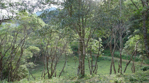 Imagem 9 de 9 de Terreno - Santa Barbara - Ref: 129 - V-1283