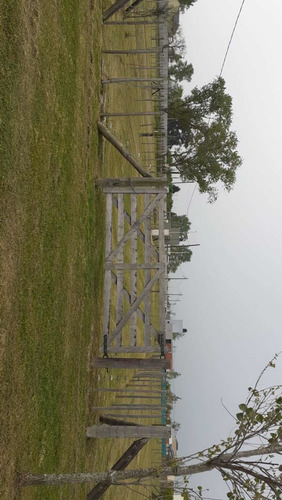 Imagen 3 de 3 de Lote En Venta Domselar Chico