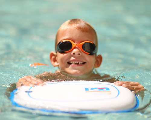 Imagen 4 de 5 de Psa Iontrix2 | Purificador De Agua Para Piscina