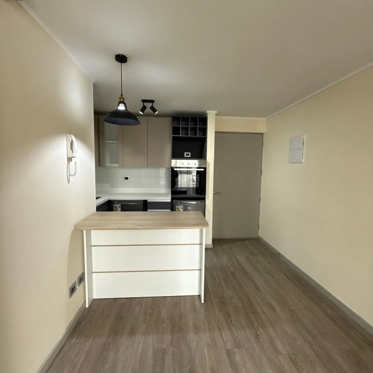 Imagen 4 de 26 de Arriendo Depto 1 Dormitorio 1 Baño Bodega Y Estacionamiento