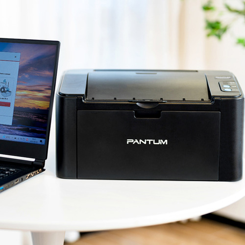 Impressora Função Única Monocromática Pantum P2500w 127v