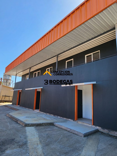 Arriendo Bodega De 750 M2 Con Of. En Ruta 5 Sur, Lautaro.