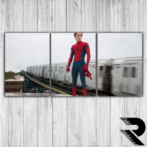 Cuadro De Spider-man Spiderman Hombre Araña | 15 | Triptico