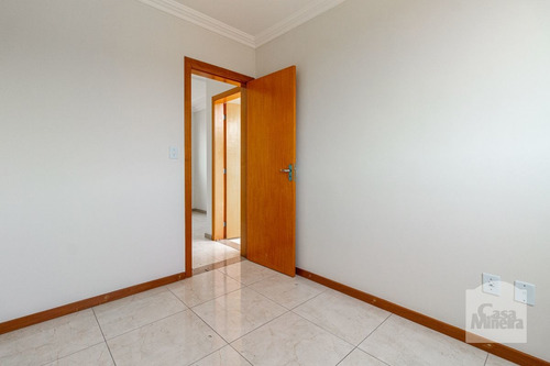 Imagem 10 de 15 de Cobertura À Venda No Santa Mônica - Código 274856 - 274856