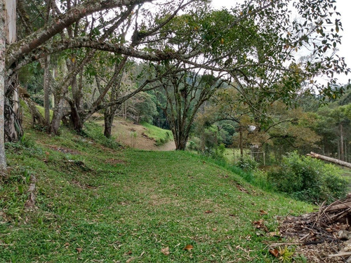 Imagem 18 de 30 de Sítio À Venda Em São Lourenço Da Serra; Sitio Com Piscina À Venda Em São Lourenço Da Serra Sp - 226 - 32982509