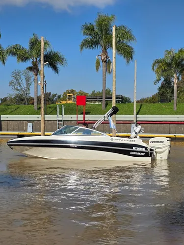 Lancha Quicksilver 555 Open Evinrude 115 Hp Eco No Bermuda