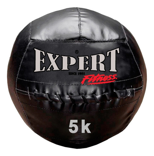 Pelota Medicinal 5kg Cuero Medicine Ball Balón Peso - El Rey