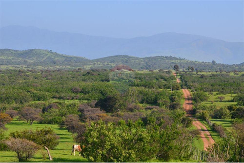 Expectacular Parcela Estilo Campo Los Espinos