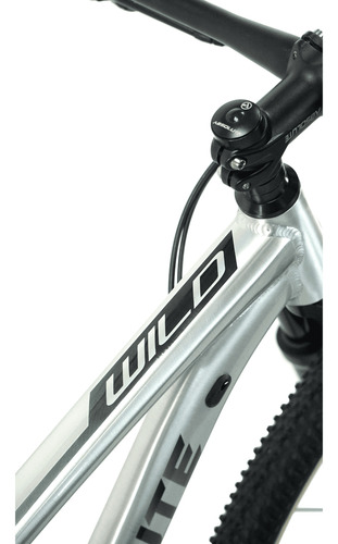 Bicicleta 29 Absolute Wild Boost Elite 12v C/ Hidr (s - 15)