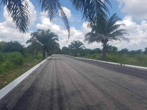 Imagen 5 de 8 de Terrenos En Venta En Privada Artisana