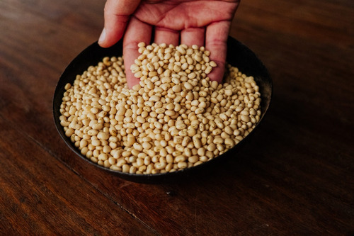 Feijão Manteiguinha De Santarém 1kg Sem Glúten Manioca