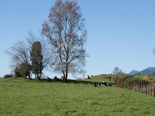 Sitio En Venta En Panguipulli