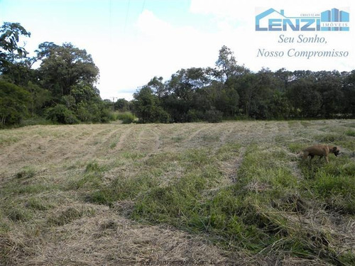 Imagem 8 de 12 de Sítios À Venda Em Atibaia/sp - Compre O Seu Sítios Aqui! - 1310880