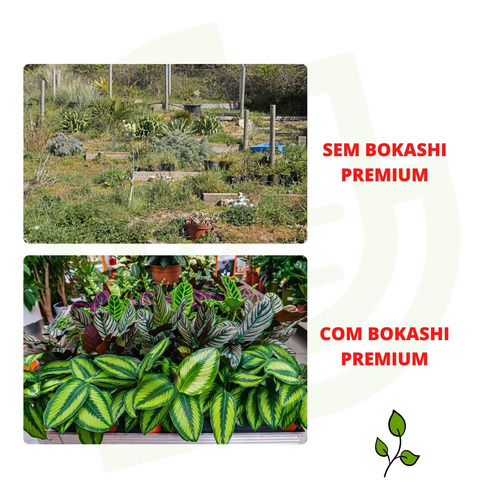 Adubo Para Florir 1l Bokashi 1l Rende 200l Facil Aplicação