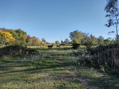Imagen 11 de 21 de Terreno En Venta - La Lonja - Pilar