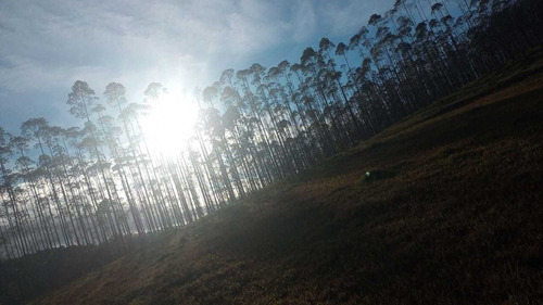 Imagem 7 de 14 de 16- Lotes Na Cidade De Arujá