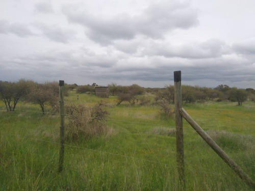 Se Vende Sitio Cauquenes