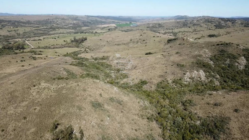Campo 86 Has 6937 M2 En La Cañas