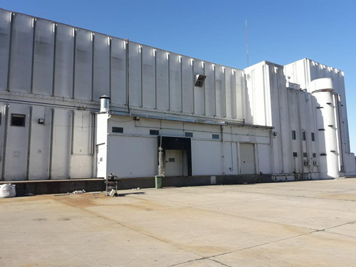 Planta Industrial De 13745 M2 Cub, En Moreno