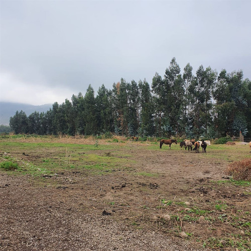 Excelente Terreno En Sector Roma San Fernando