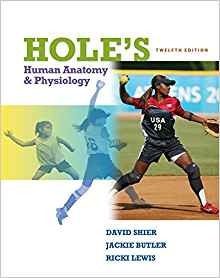 Holes Human Anatomy  Y  Physiology