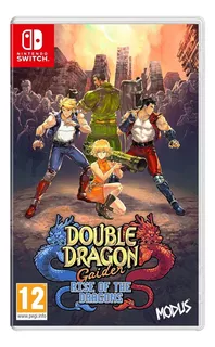 Double Dragon Gaiden Rise Of The Dragons Nintendo Switch