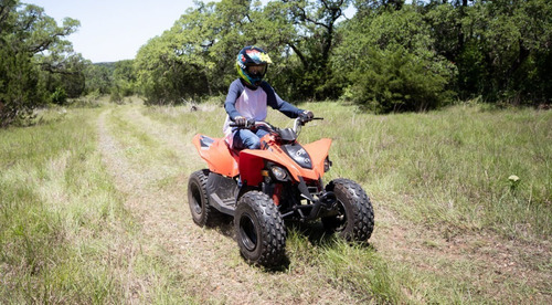 Imagen 13 de 15 de Canam Ds 90 Cuatri 0km No Yamaha Honda Motomel Usd