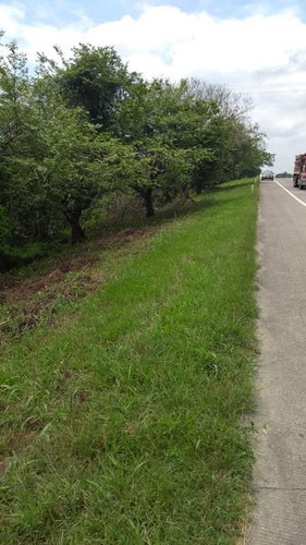 Venta Terreno 2000 M² Col. Tierra Blanca Tuxpan Veracruz.