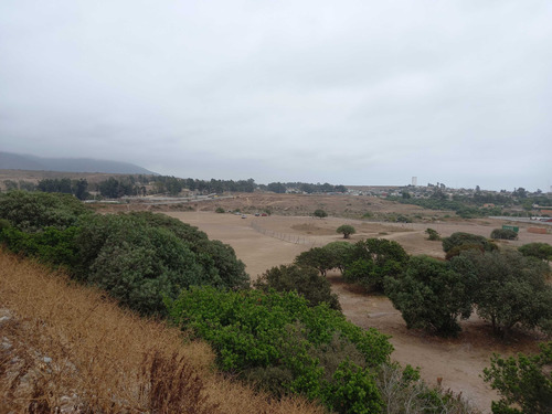 Sitio En Los Vilos, Oportunidad (27962)