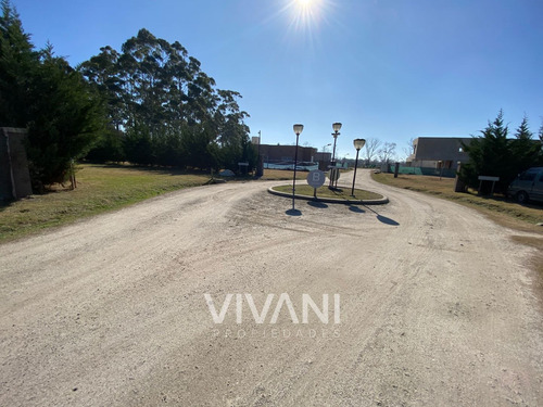 Imagen 8 de 14 de Venta Lote 176 E/ 48 Y 49 - Villa El Tala Berisso @vivanipro