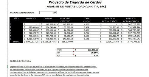 Corrida Financiera Engorda De Cerdos-rentable