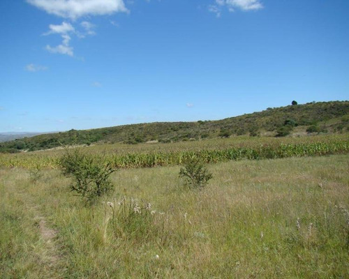 Imagen 13 de 20 de Chacra En Venta, Villa Giardino, Córdoba.