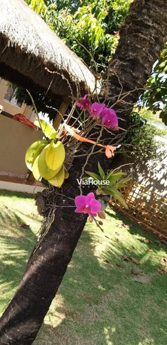 Imagem 28 de 30 de Chácara Com 4 Dormitórios À Venda, 1200 M² Por R$ 950.000,00 - Condomínio Recanto Rio Pardo - Jardinópolis/sp - Ch0100