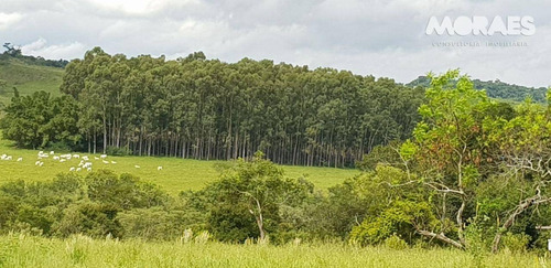 Imagem 11 de 26 de Fazenda Rural À Venda, Zona Rural, Garça. - Fa0003