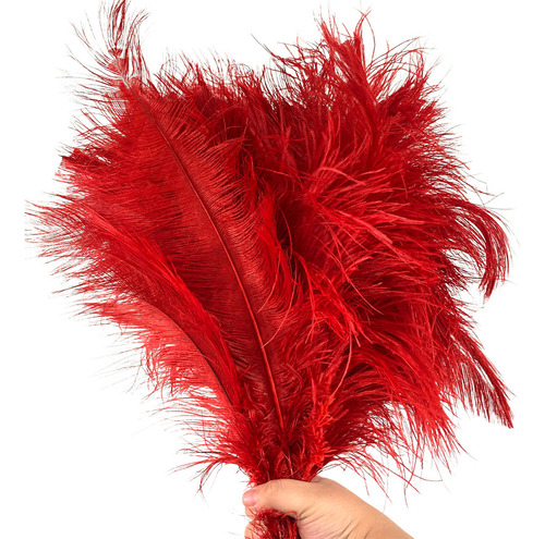 Plumas Avestruz Tipo Palito 100g Ideal P/ Trajes De Carnaval Cor Vermelho