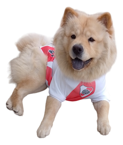Camiseta De Fútbol Para Perros River Plate