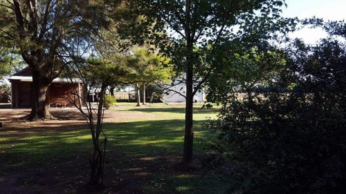Imagen 7 de 21 de Campo - San Pedro 290 Has Provincia Buenos Aires