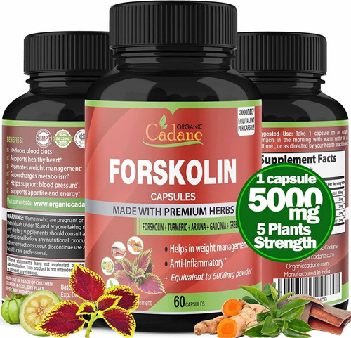 Forskolina 5000mg (60 Cápsulas) Pérdida De Peso Hecho Usa