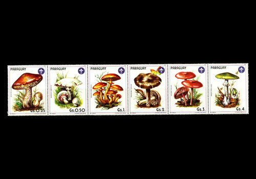 Paraguay 1986 Scouts Flora Hongos Yv 2207-12 Mi 3835-1