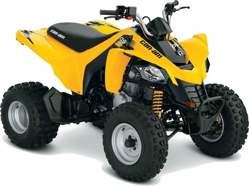Can Am Ds 250 0km Automoto Lanus