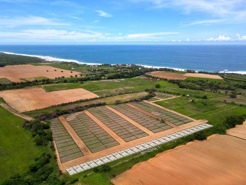 Imagen 2 de 3 de Terreno En Venta Agua Blanca
